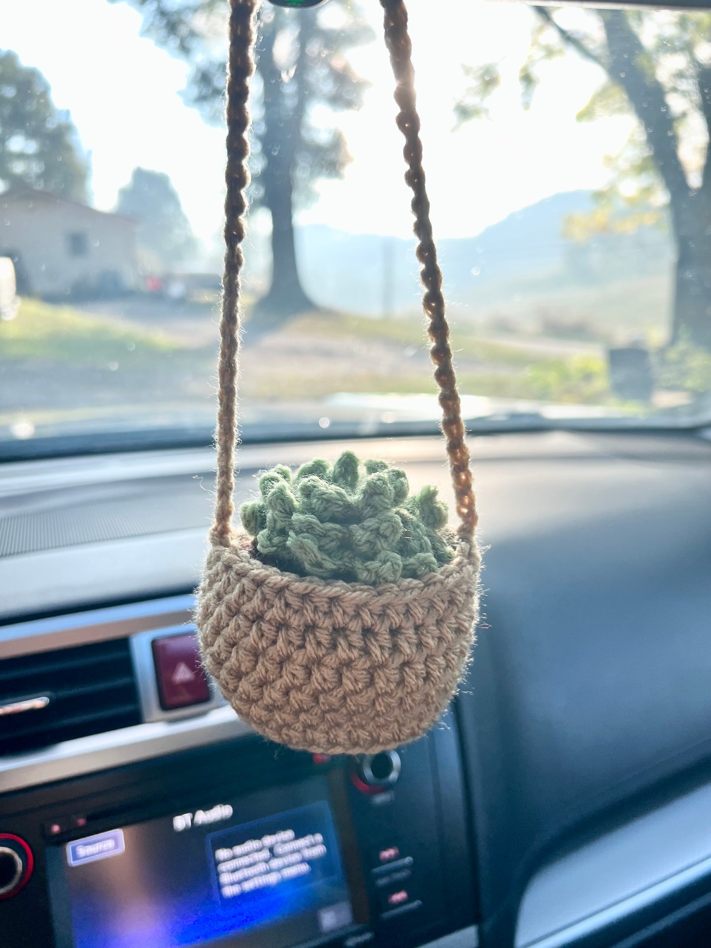 Succulent car mirror hanger