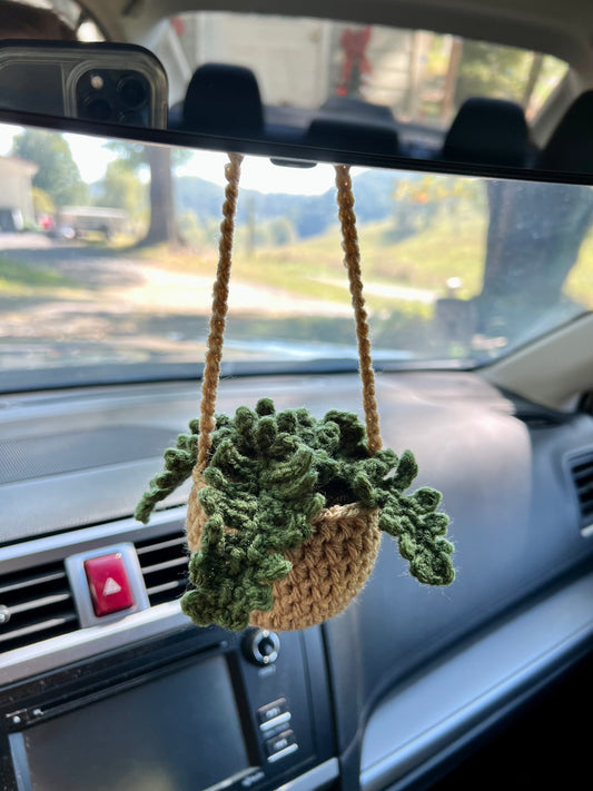 Fern mirror hanger